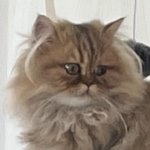 TIM — Tim dans sa nouvelle famille ! (2 sur 6)