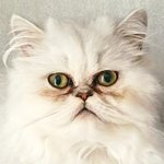 TOPAZE — Topaze dans sa nouvelle famille ! (1 sur 2)